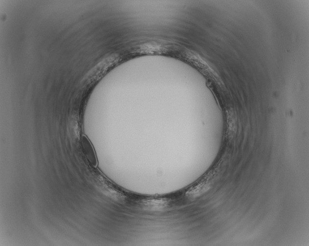 X0000073710313200608311801