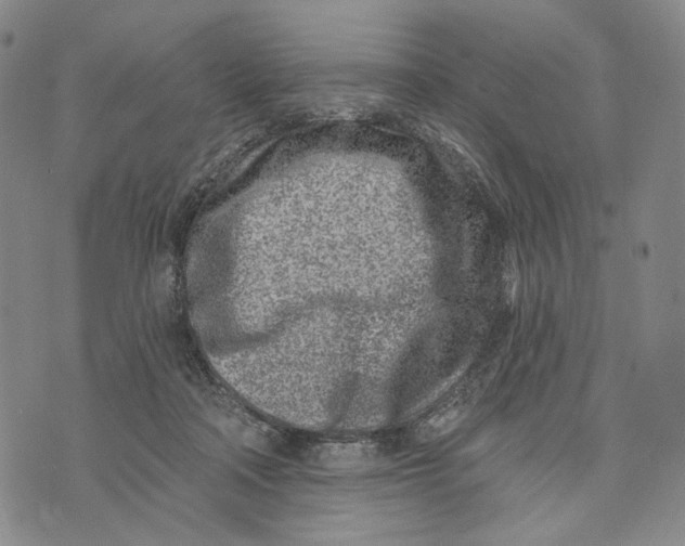 X0000073710314200608311801