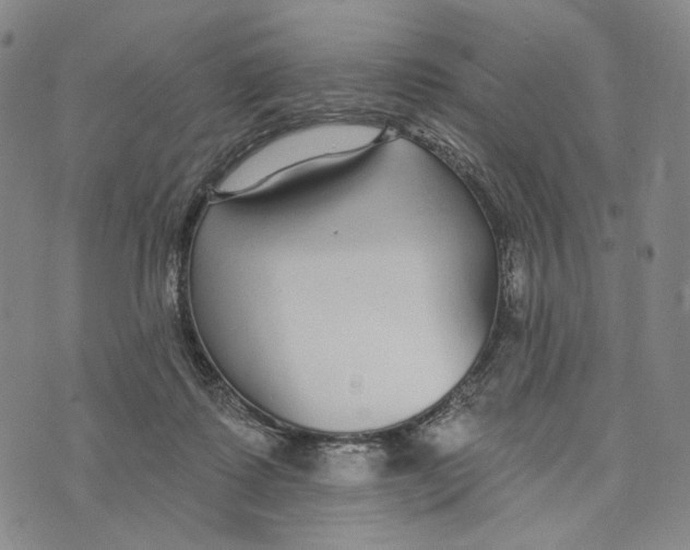 X0000073710315200608311801