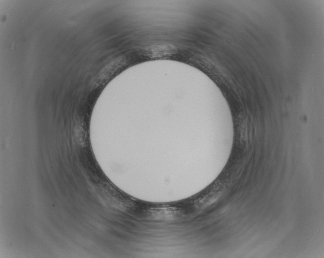 X0000073710316200608311801