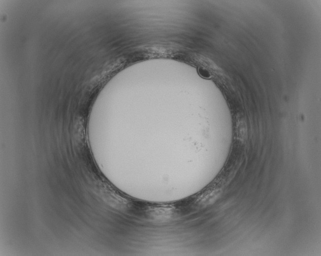 X0000073710318200608311801