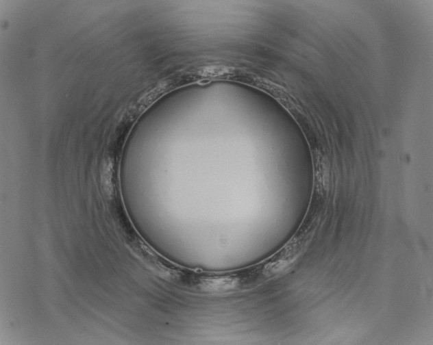 X0000073710319200608311801