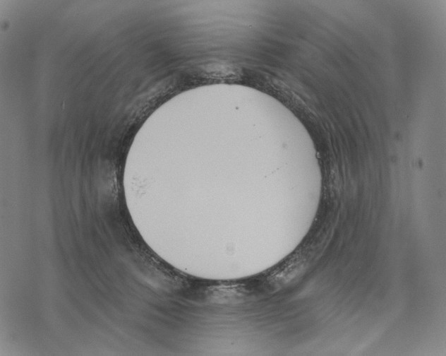 X0000073710320200608311801