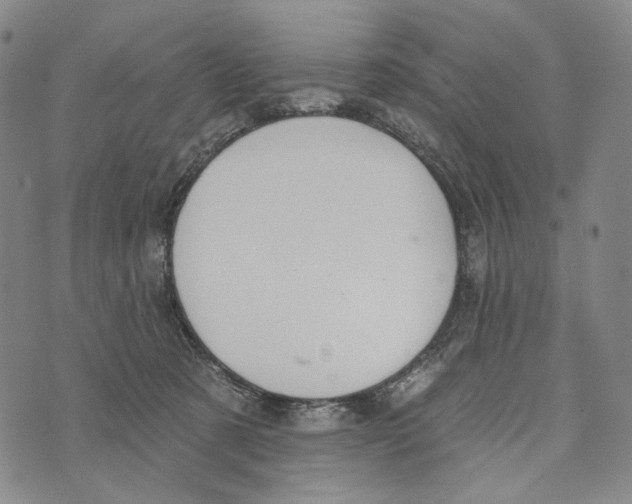 X0000073710321200608311801