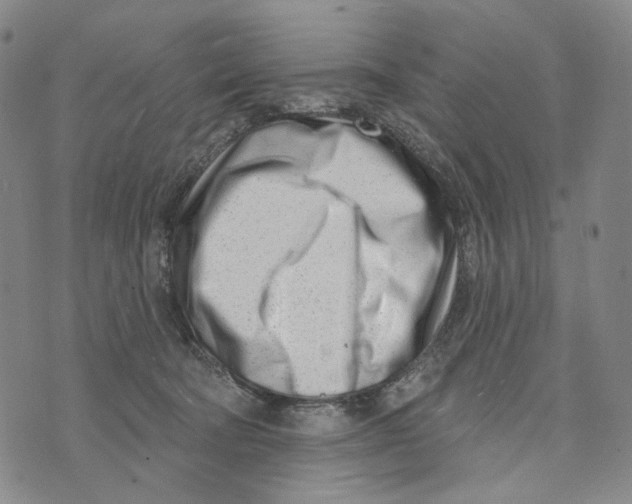 X0000073710322200608311801