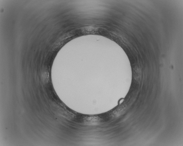 X0000073710324200608311801