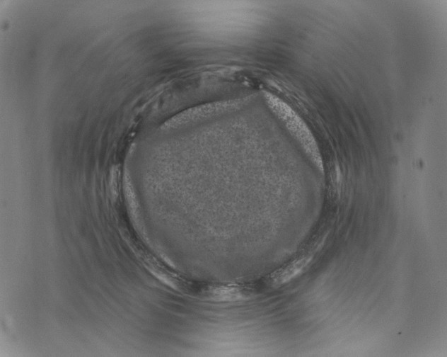 X0000073710325200608311801