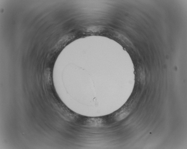 X0000073710328200608311801