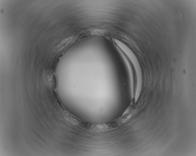 X0000073710329200608311801