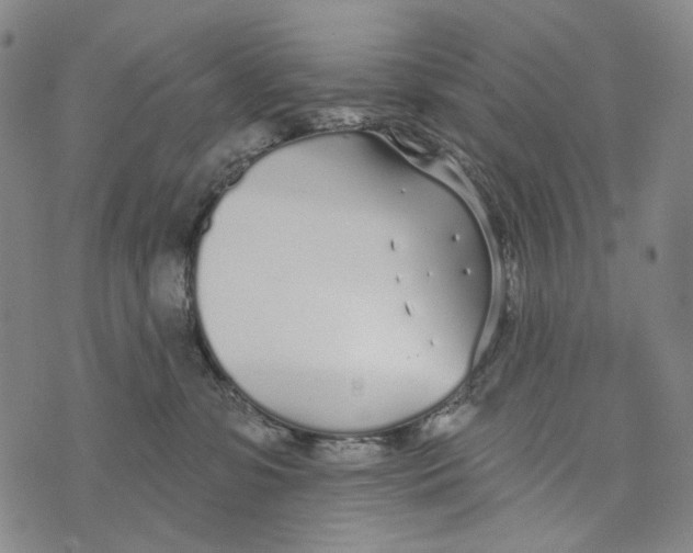 X0000073710331200608311801