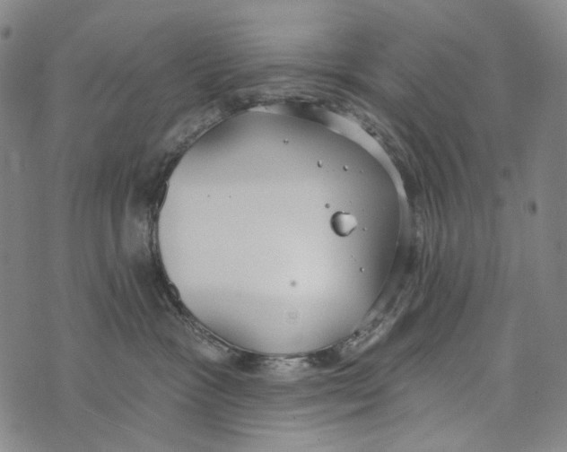 X0000073710333200608311801