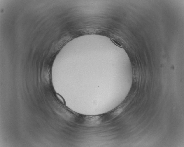 X0000073710334200608311801