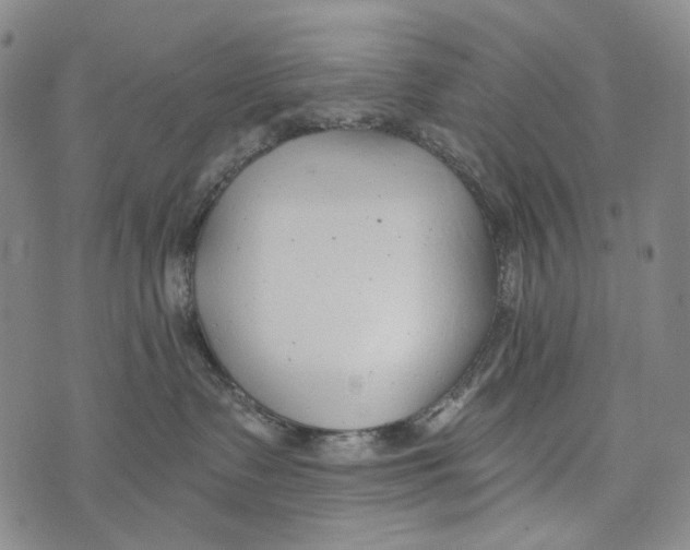 X0000073710335200608311801