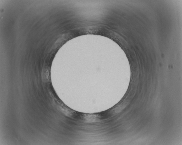 X0000073710336200608311801