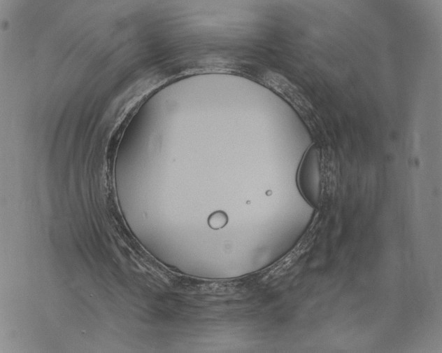 X0000073710338200608311800