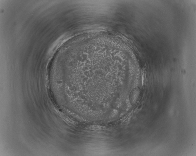 X0000073710339200608311800