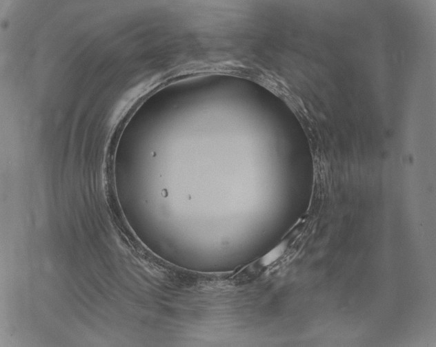 X0000073710340200608311800