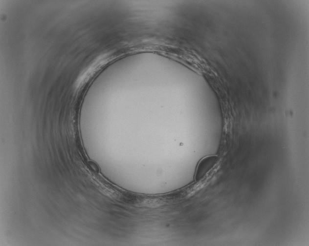 X0000073710341200608311800