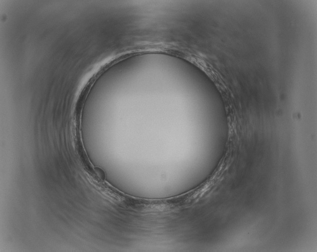 X0000073710342200608311800