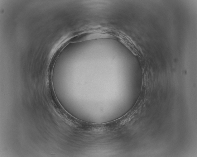 X0000073710344200608311800