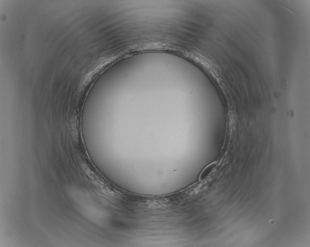 X0000073710345200608311800