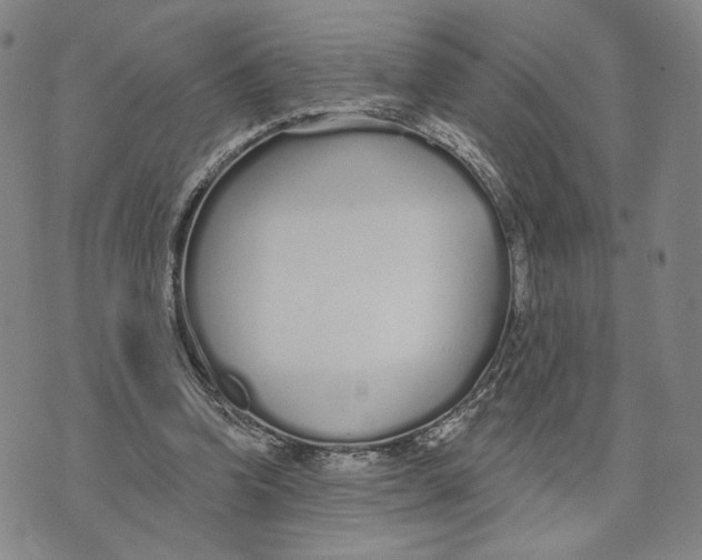 X0000073710346200608311800