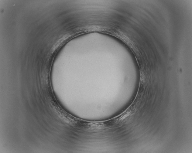 X0000073710347200608311800