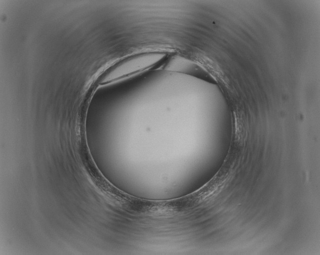 X0000073710348200608311800