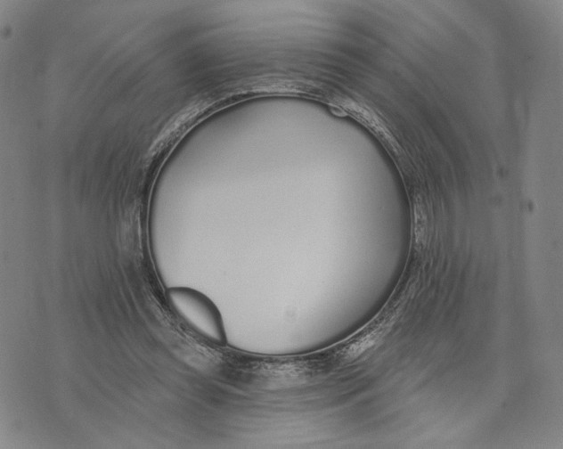 X0000073710349200608311800