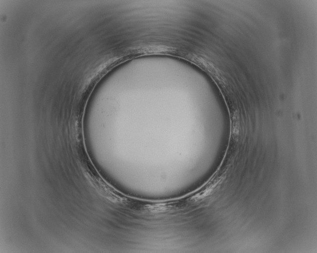 X0000073710351200608311800