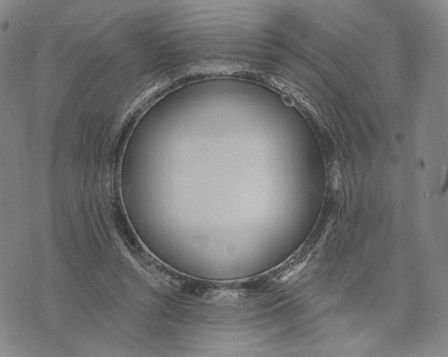 X0000073710352200608311800