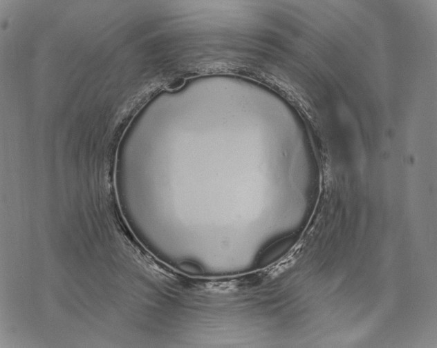 X0000073710353200608311800