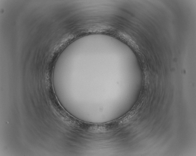 X0000073710354200608311800