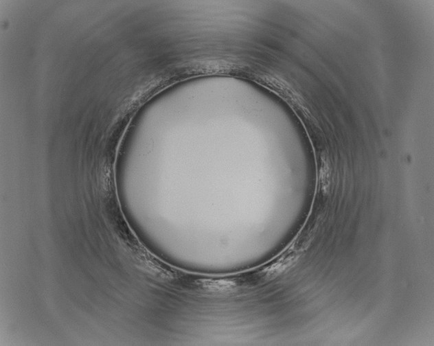 X0000073710355200608311800