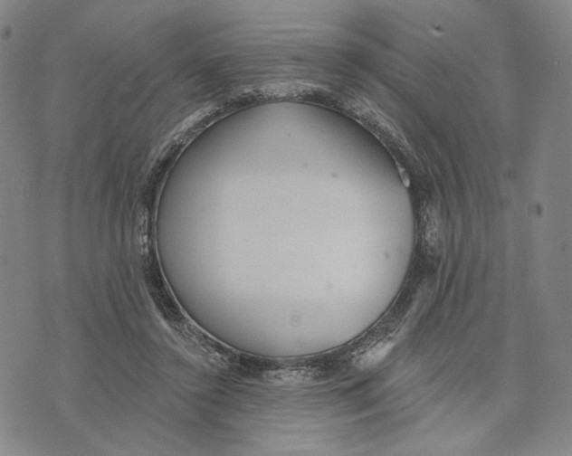 X0000073710356200608311800