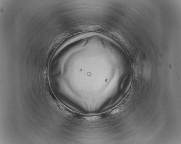 X0000073710357200608311800