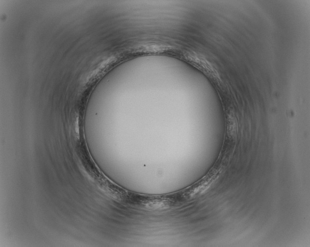 X0000073710358200608311800