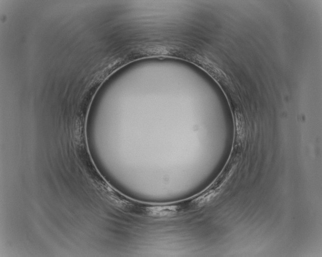 X0000073710359200608311800