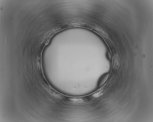 X0000073710361200608311800