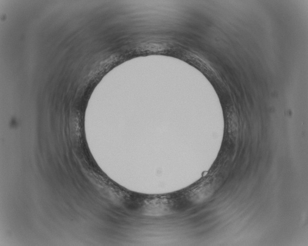 X0000073710362200608311800