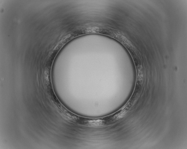 X0000073710363200608311800