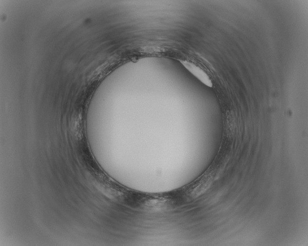 X0000073710364200608311800