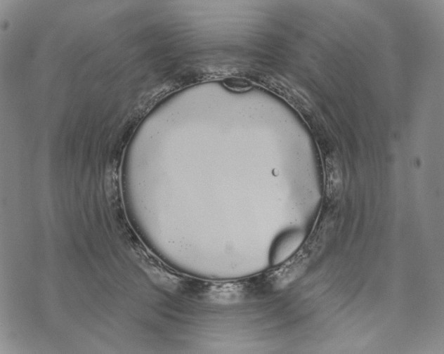 X0000073710369200608311800