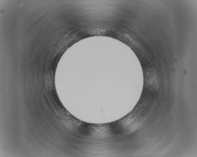 X0000073710370200608311800