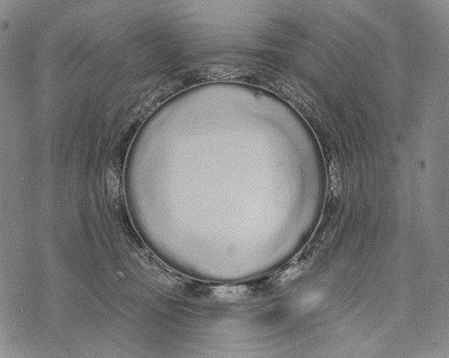 X0000073710371200608311800