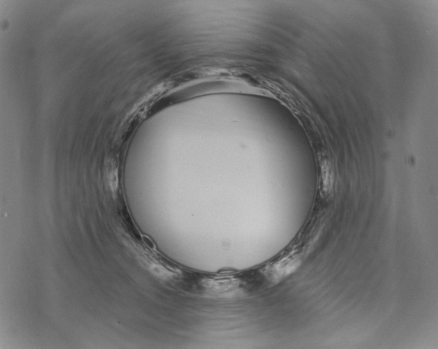 X0000073710372200608311800