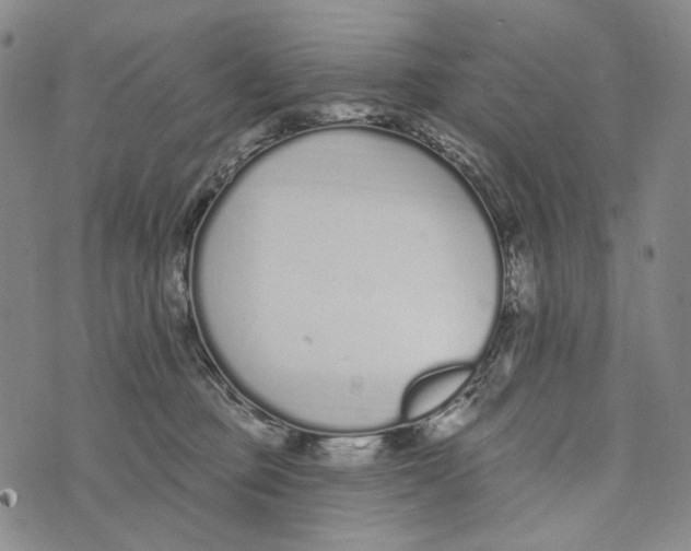 X0000073710373200608311800