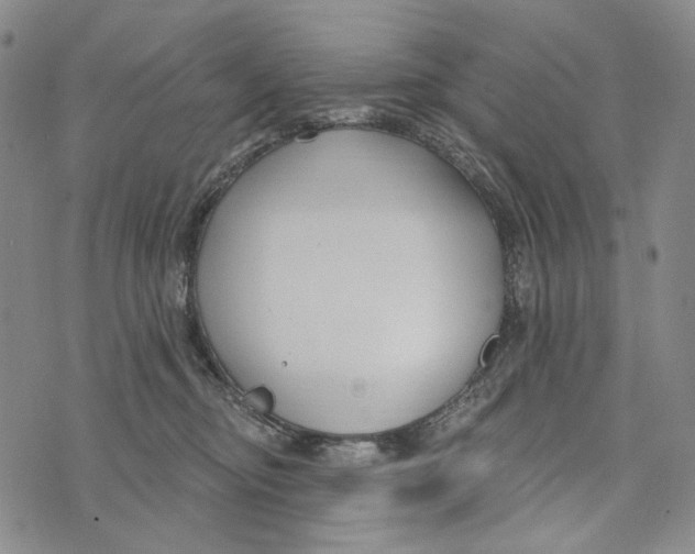 X0000073710374200608311800