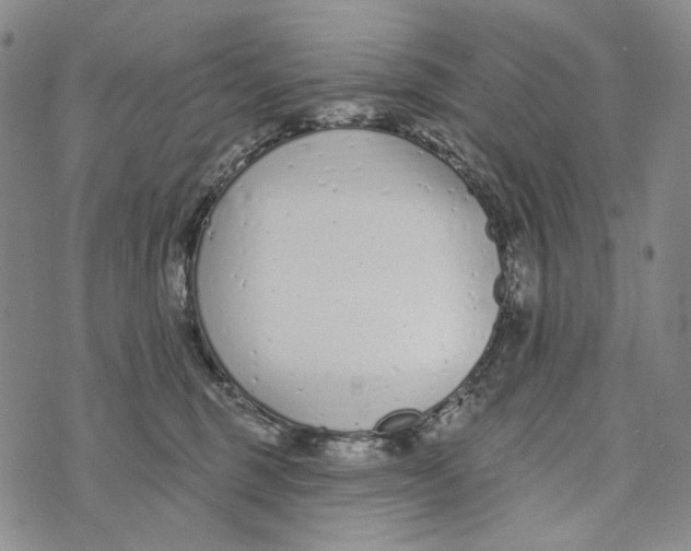 X0000073710375200608311800