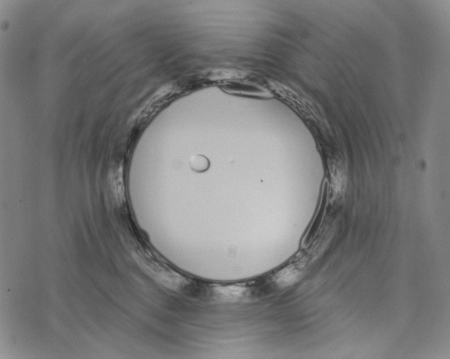 X0000073710376200608311800